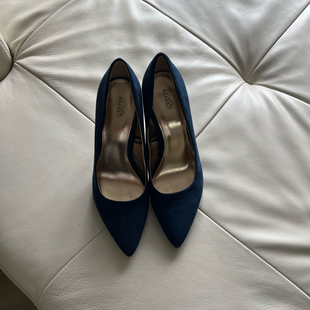 Sears Blue Heels Classic Pointed-Toe Pumps